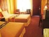 room_1194669014.jpg