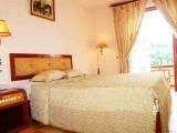 room_1194670123.jpg
